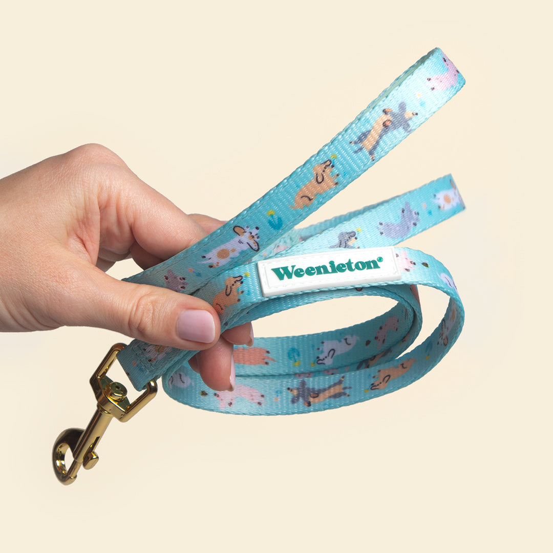 Reversible Harness Set・Weenie Wiggle in Mint