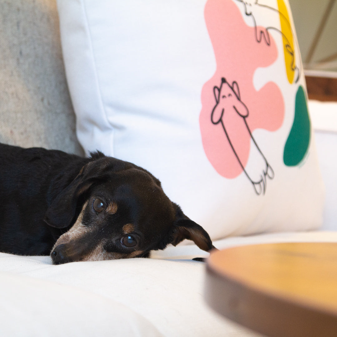 Doxie Dreams Pillow