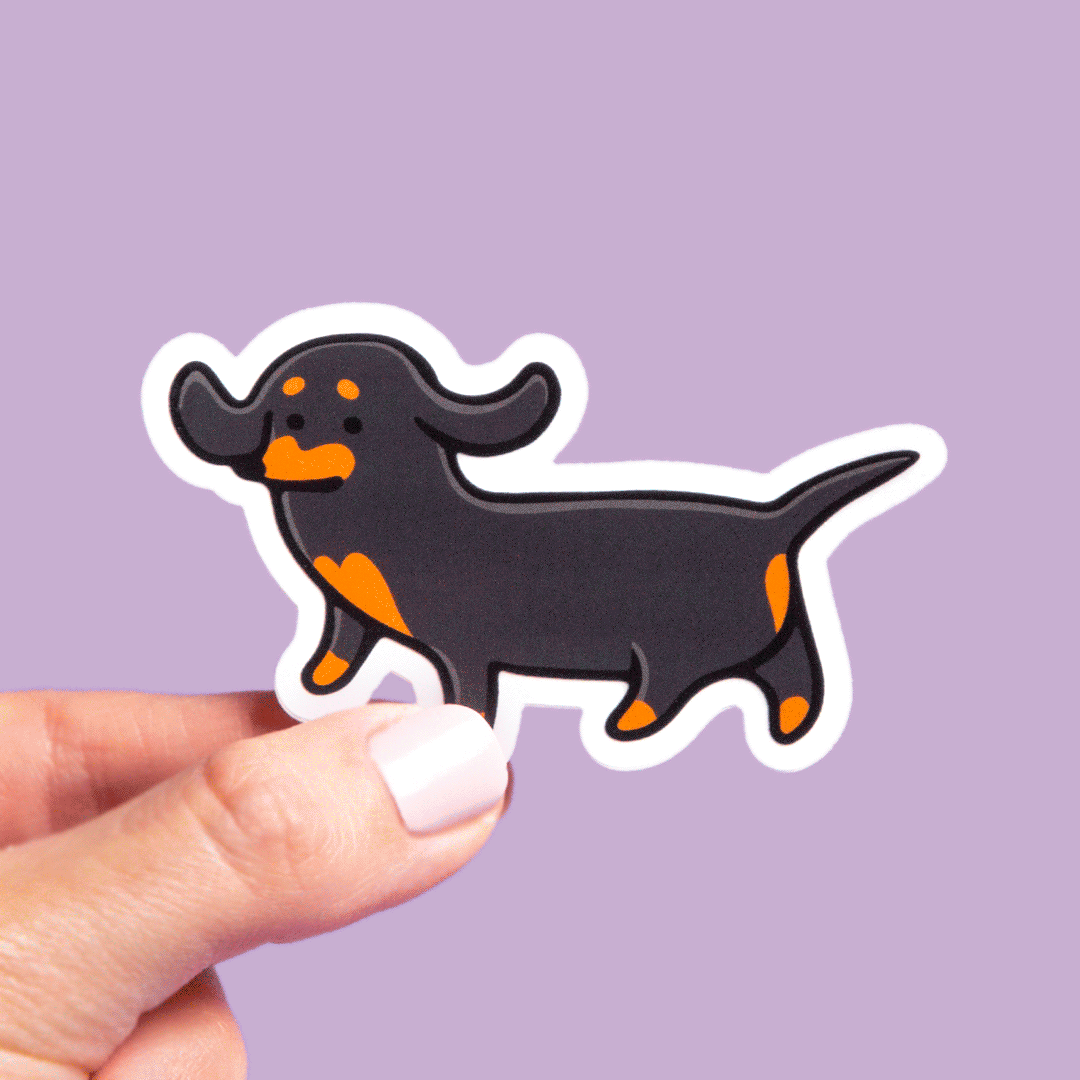 Long Haired Black and Tan Weenie Sticker